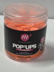 MAİNLİNE Scopex Blackcurrant PUP UPS