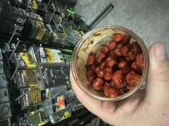 Ccmoore Bloodworm 10x14mm Wafters Sıvılı